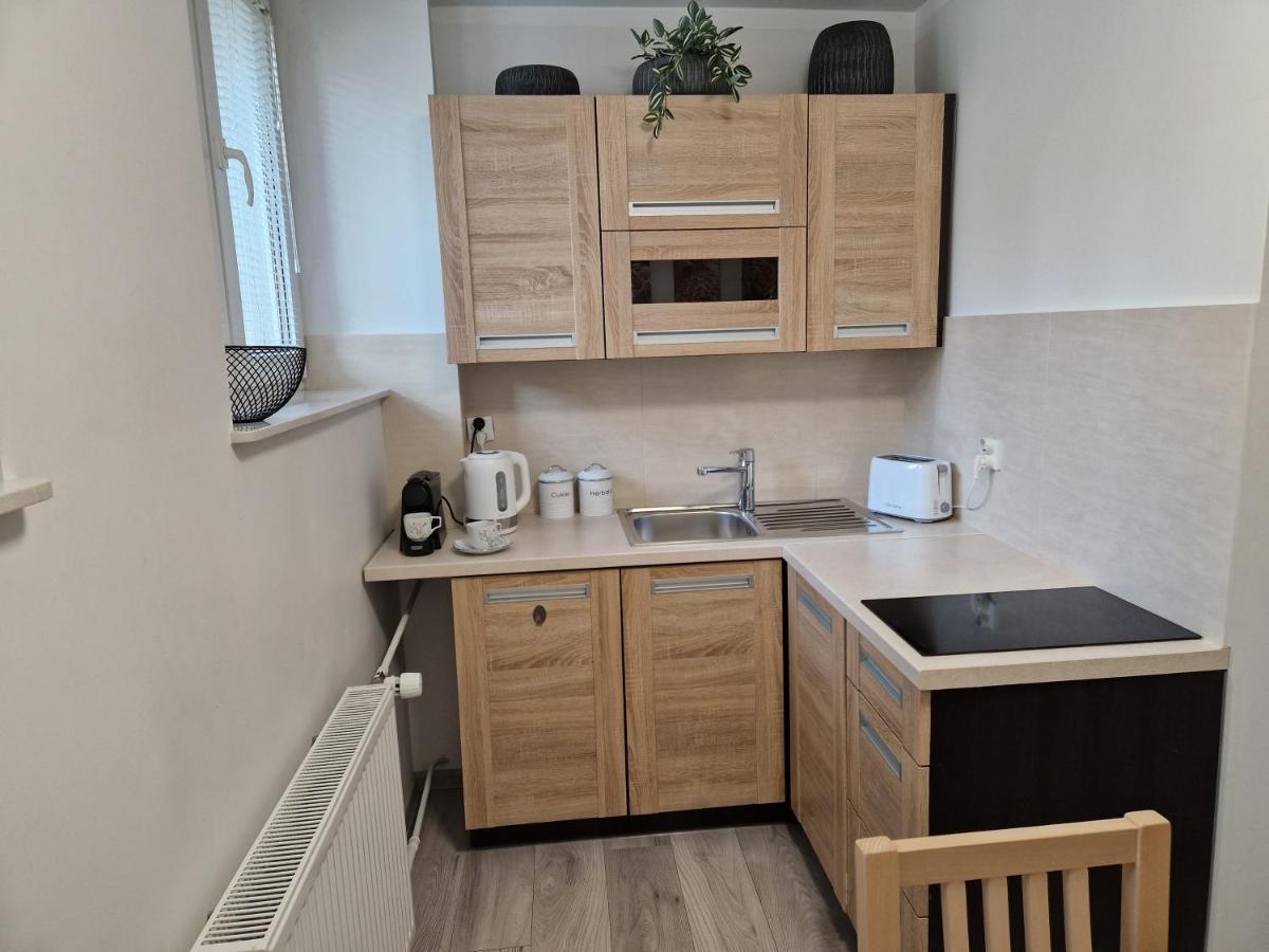 Apartament W Srodmiesciu ซาน็อค ภายนอก รูปภาพ